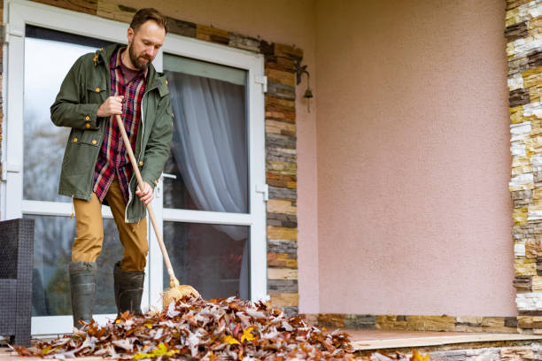 Yard Cleanup Services in Vardaman, MS